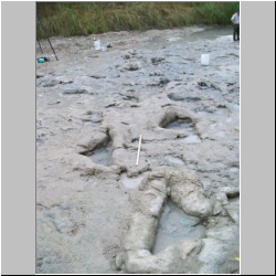 100_0661 (2009-27-07).JPG